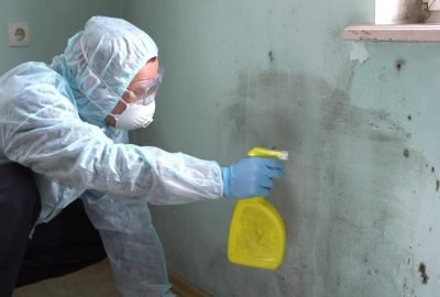 Mold-Remediation-service-1